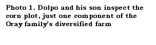 Text Box: Photo 1. Dolpo and his son inspect the corn plot, just one component of the Oray familys diversified farm