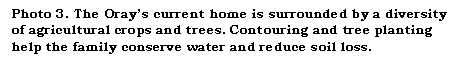 Text Box: Photo 3. The Orays current home is surrounded by a diversity of agricultural crops and trees. Contouring and tree planting help the family conserve water and reduce soil loss.