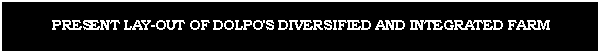 Text Box: PRESENT LAY-OUT OF DOLPO'S DIVERSIFIED AND INTEGRATED FARM